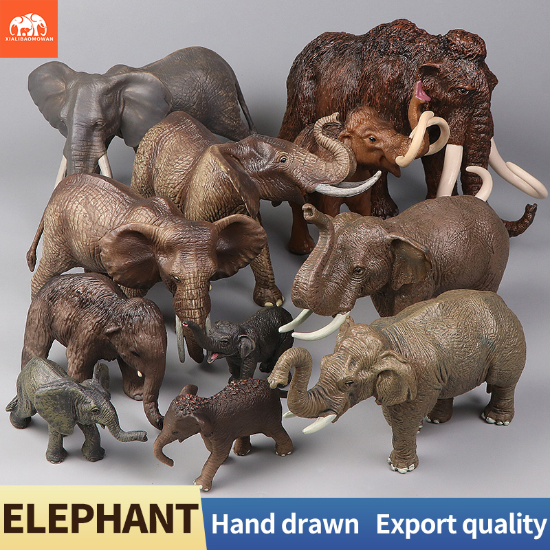 Kids Education Picture - African Wild Animals Big Mammoth Elephant