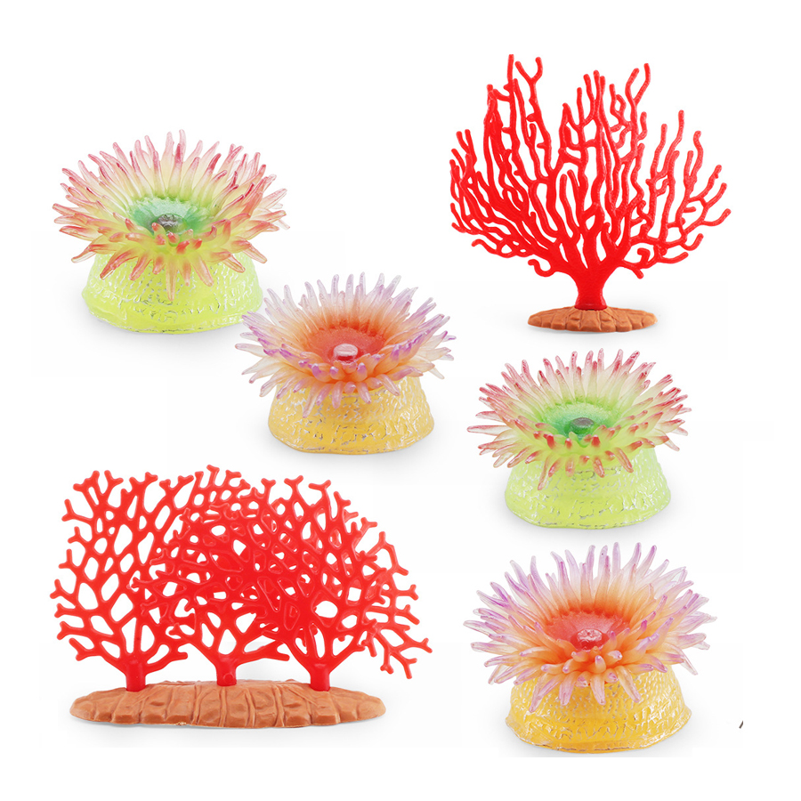 Realistic Coral Sea Anemones S - Kids Education Picture recensie en prijs