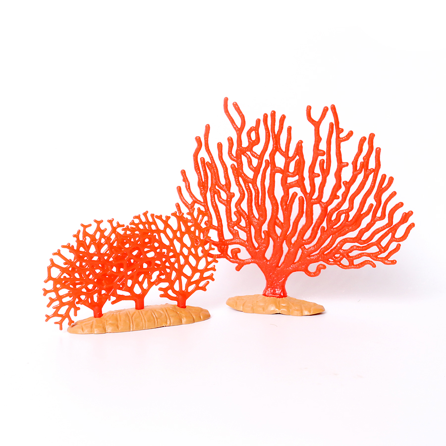 Realistic Coral Sea Anemones S - Kids Education Picture recensie en prijs