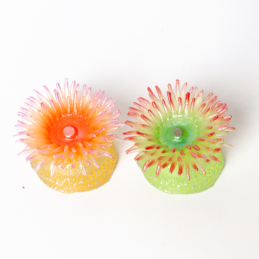 Realistic Coral Sea Anemones S - Kids Education Picture recensie en prijs