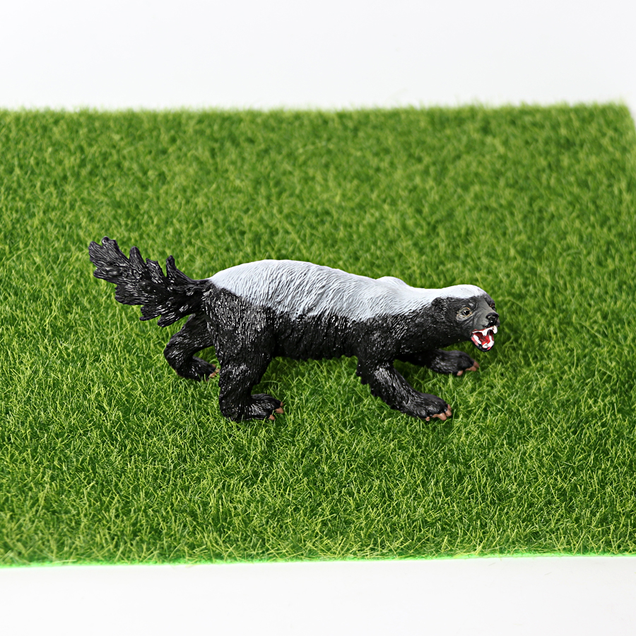 Realistic Honey Badger Model S - Kids Education Picture recensie en prijs