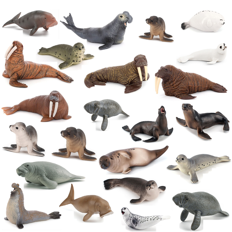 Realistic Dugong Manatee Walru - Kids Education Picture recensie en prijs