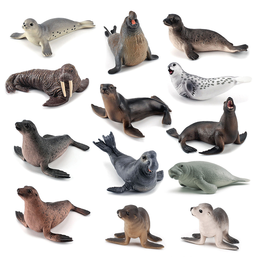 Realistic Dugong Manatee Walru - Kids Education Picture recensie en prijs
