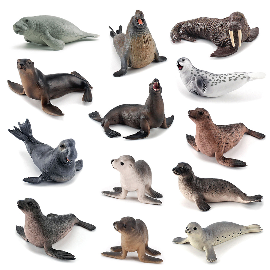 Realistic Dugong Manatee Walru - Kids Education Picture recensie en prijs
