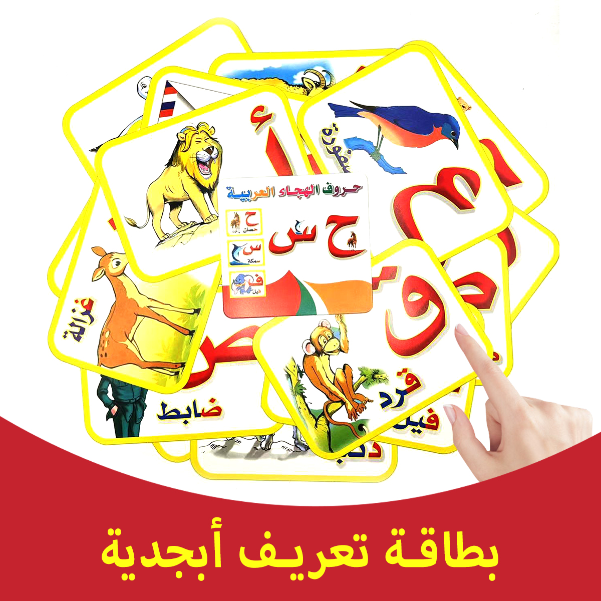Children's Arabic alphabet fla - Flash Card Alphabet recensie en prijs