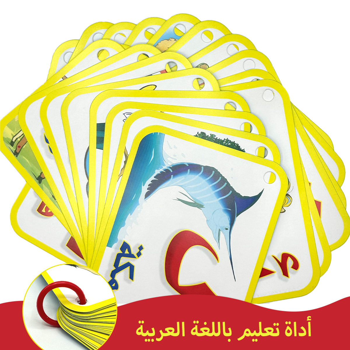 Children's Arabic alphabet fla - Flash Card Alphabet recensie en prijs