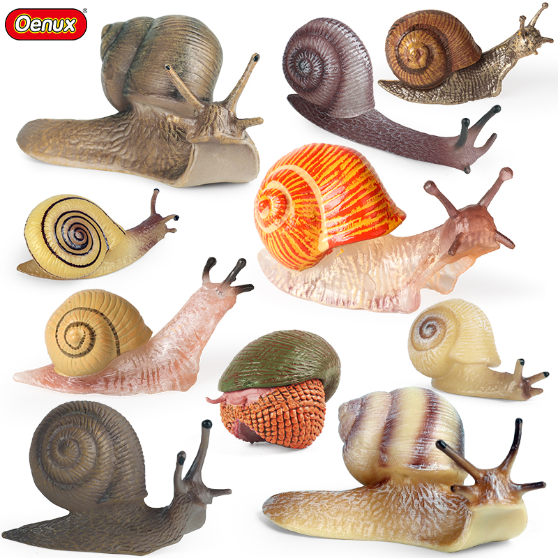 Oenux Wild Insect Animals Snai - Kids Education Picture recensie en prijs