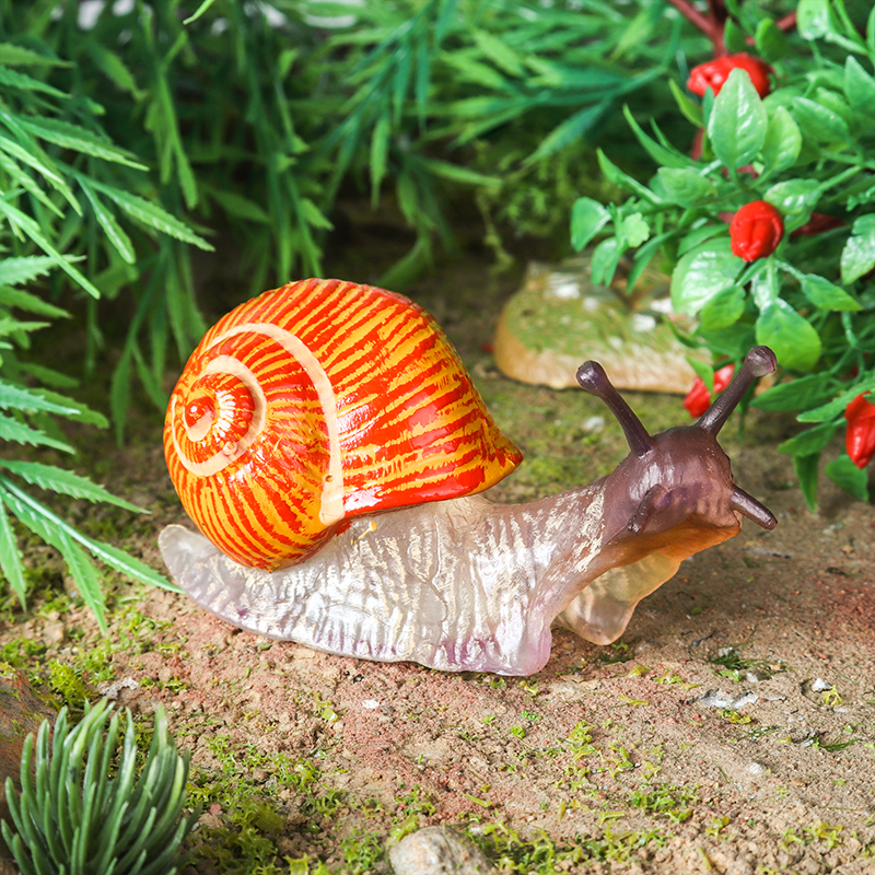 Oenux Wild Insect Animals Snai - Kids Education Picture recensie en prijs