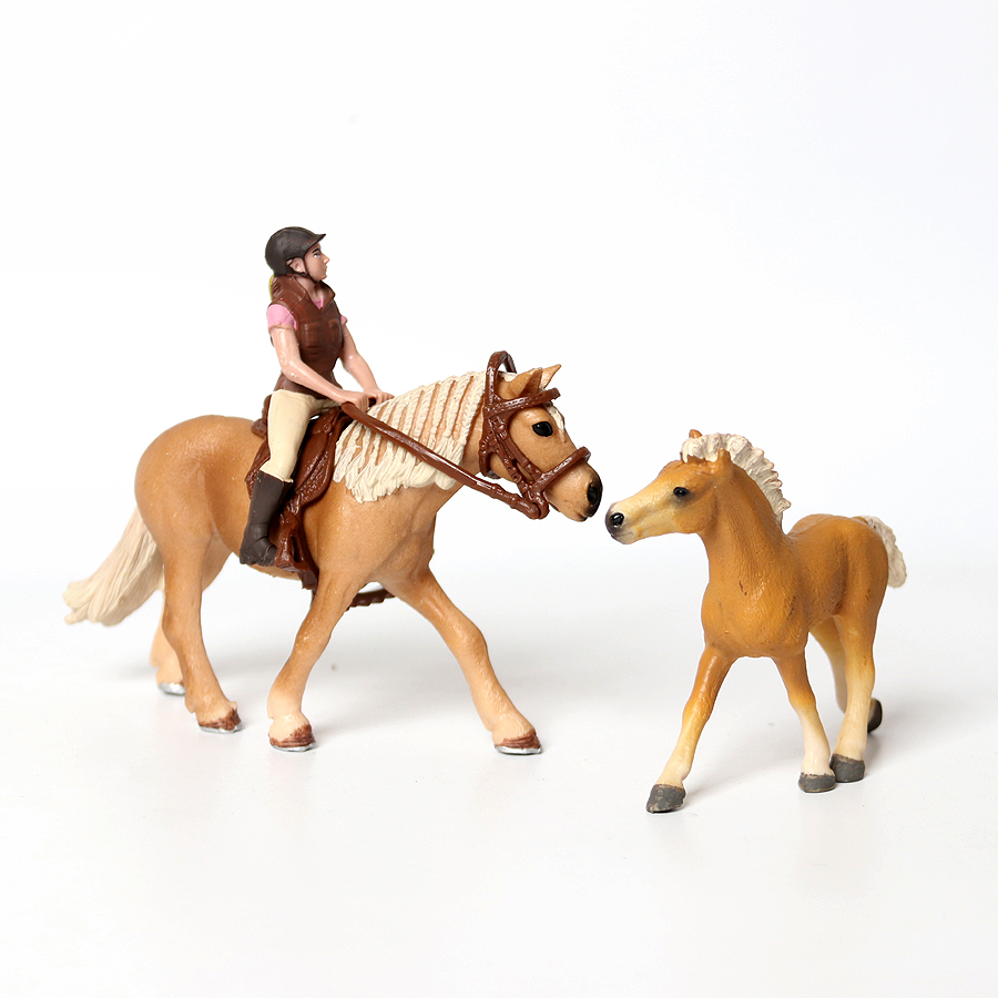 Realistic Trakehner Knabstrupp - Kids Education Picture recensie en prijs