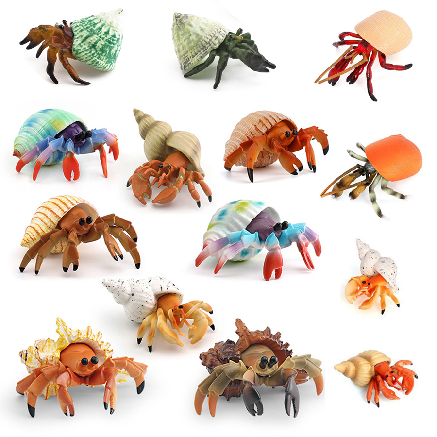 Realistic Hermit Crab Figurine - Kids Education Picture recensie en prijs