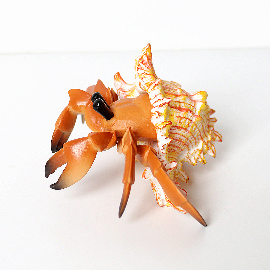 Realistic Hermit Crab Figurine - Kids Education Picture recensie en prijs