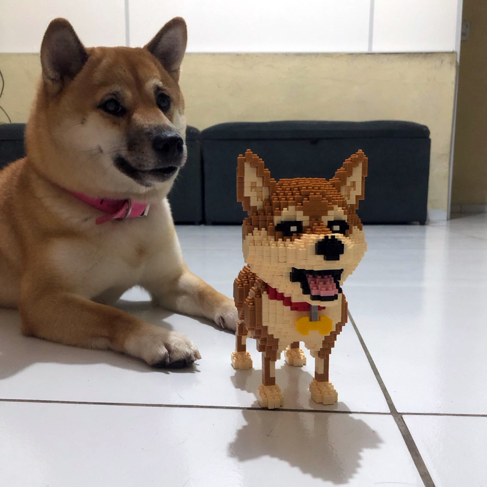 KNEW BUILT Shiba Inu Dogs Mode - Kids Education And Recreation recensie en prijs