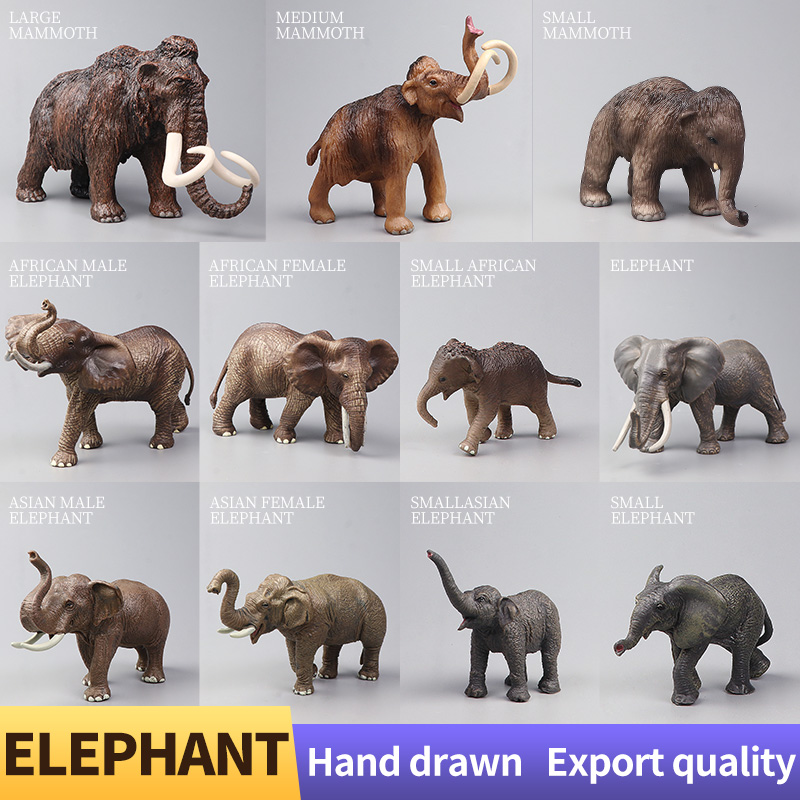 African Wild Animals Big Mammo - Kids Education Picture recensie en prijs