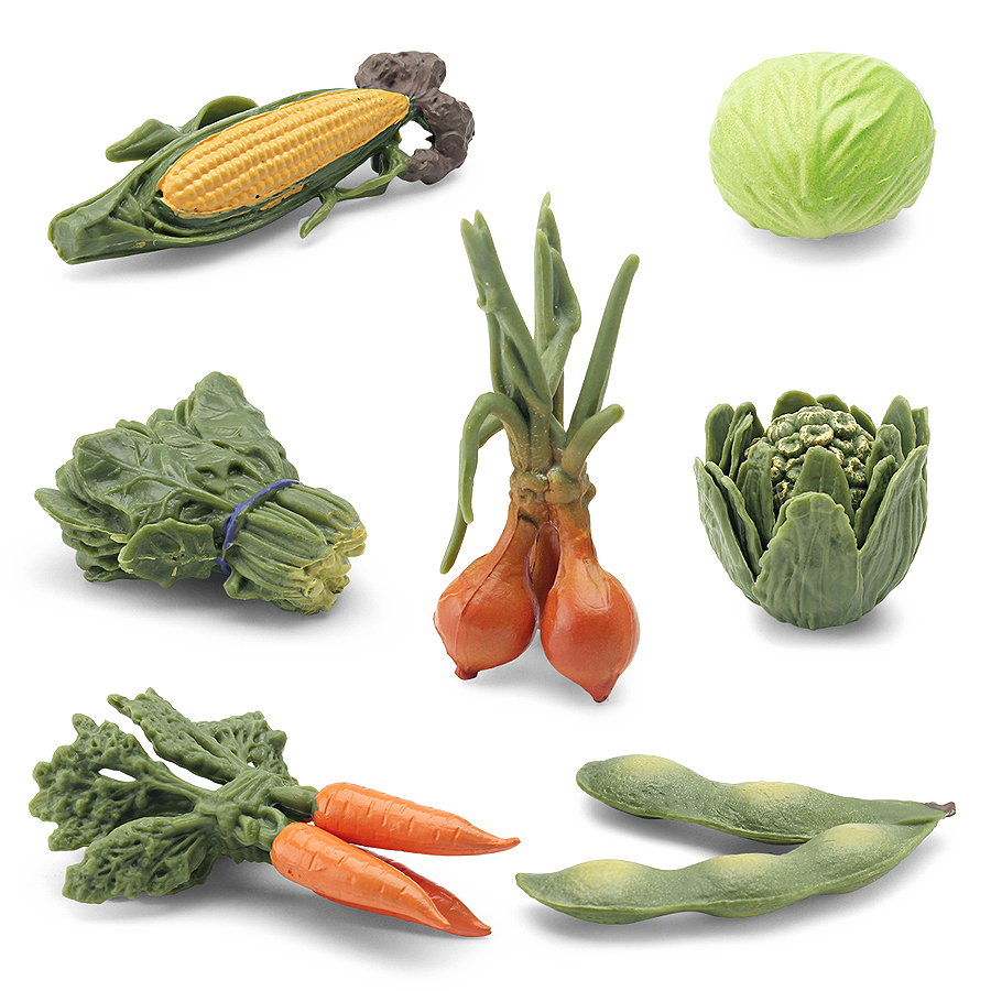 Realistic Vegetables Model Fig - Kids Education Picture recensie en prijs