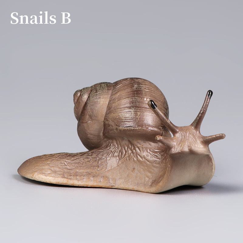 Educational Snail Action Figur - Kids Education Picture recensie en prijs