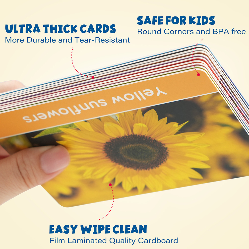 Flash Cards for Toddlers, Doub - Flash Card Alphabet recensie en prijs