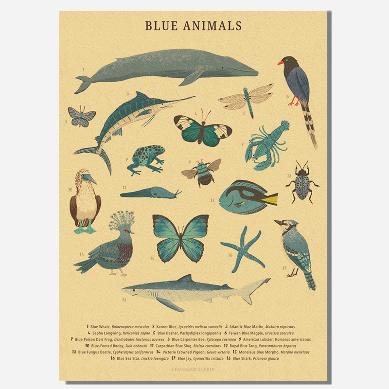Alphabet with Cartoon Animals  - Kids Education Wallpaper recensie en prijs