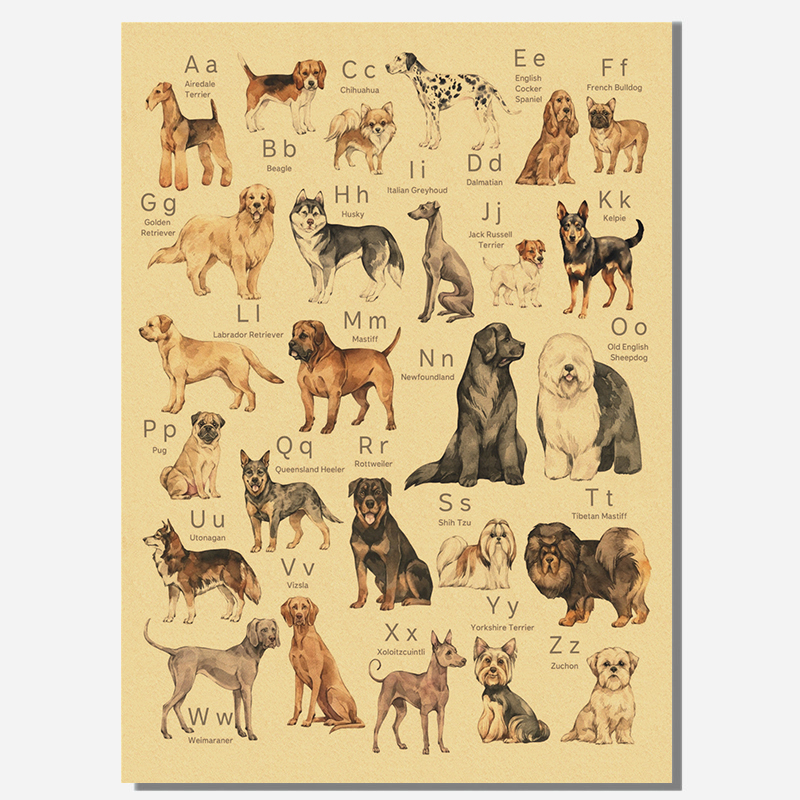 Alphabet with Cartoon Animals  - Kids Education Wallpaper recensie en prijs