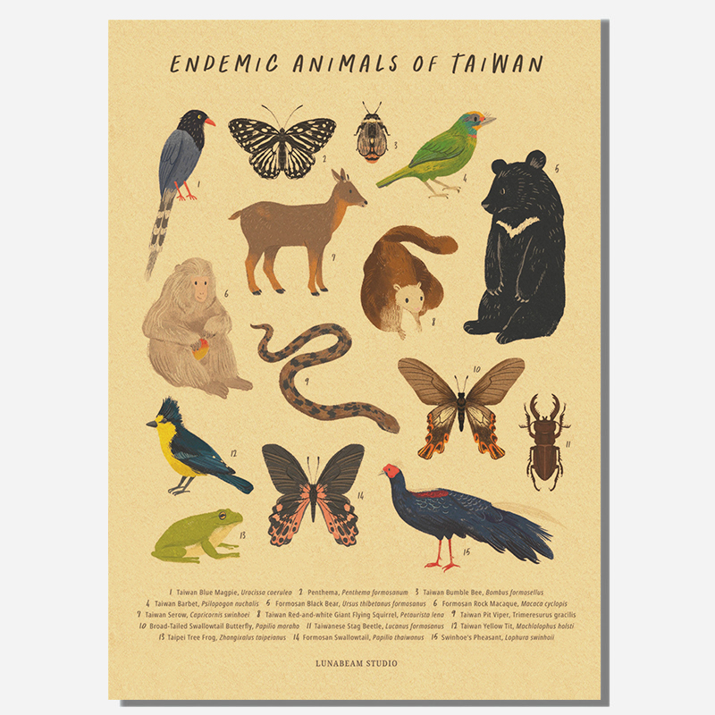Alphabet with Cartoon Animals  - Kids Education Wallpaper recensie en prijs
