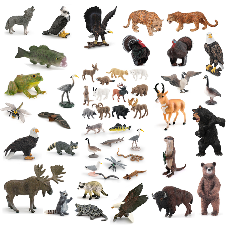 Realistic North American Anima - Kids Education Picture recensie en prijs