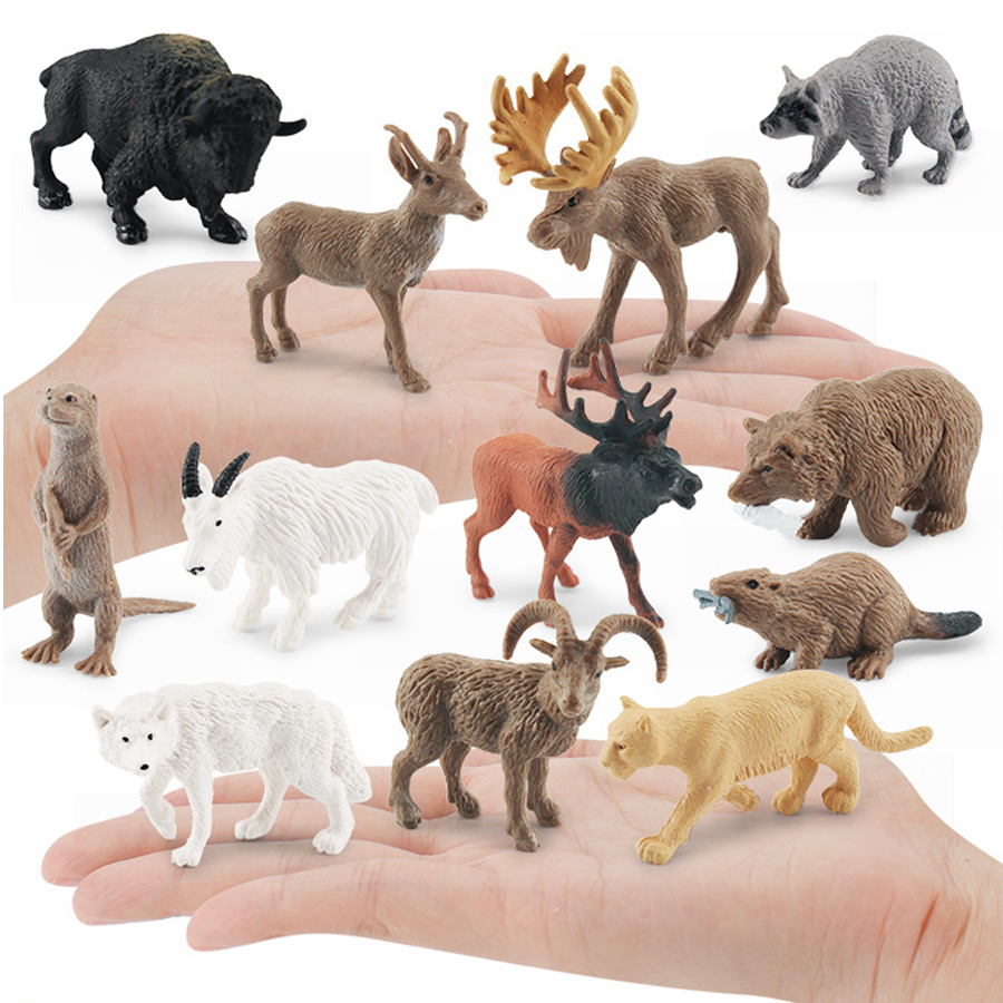 Realistic North American Anima - Kids Education Picture recensie en prijs