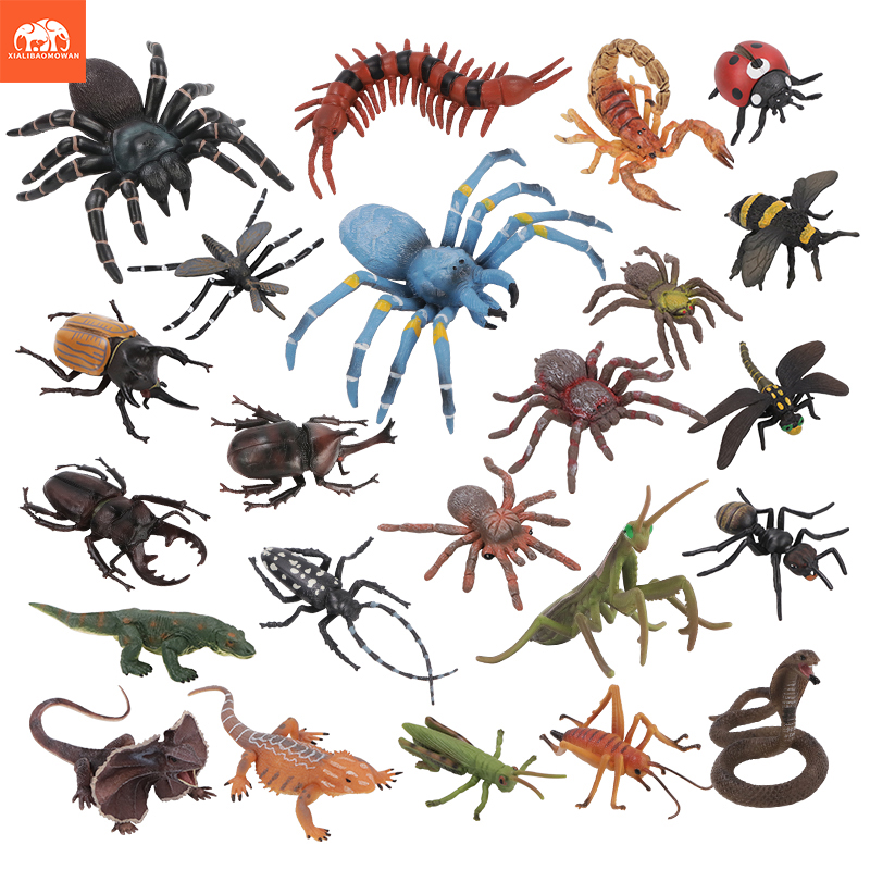 Educational Simulation Insect  - Kids Education Picture recensie en prijs