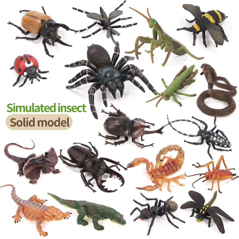 Educational Simulation Insect  - Kids Education Picture recensie en prijs