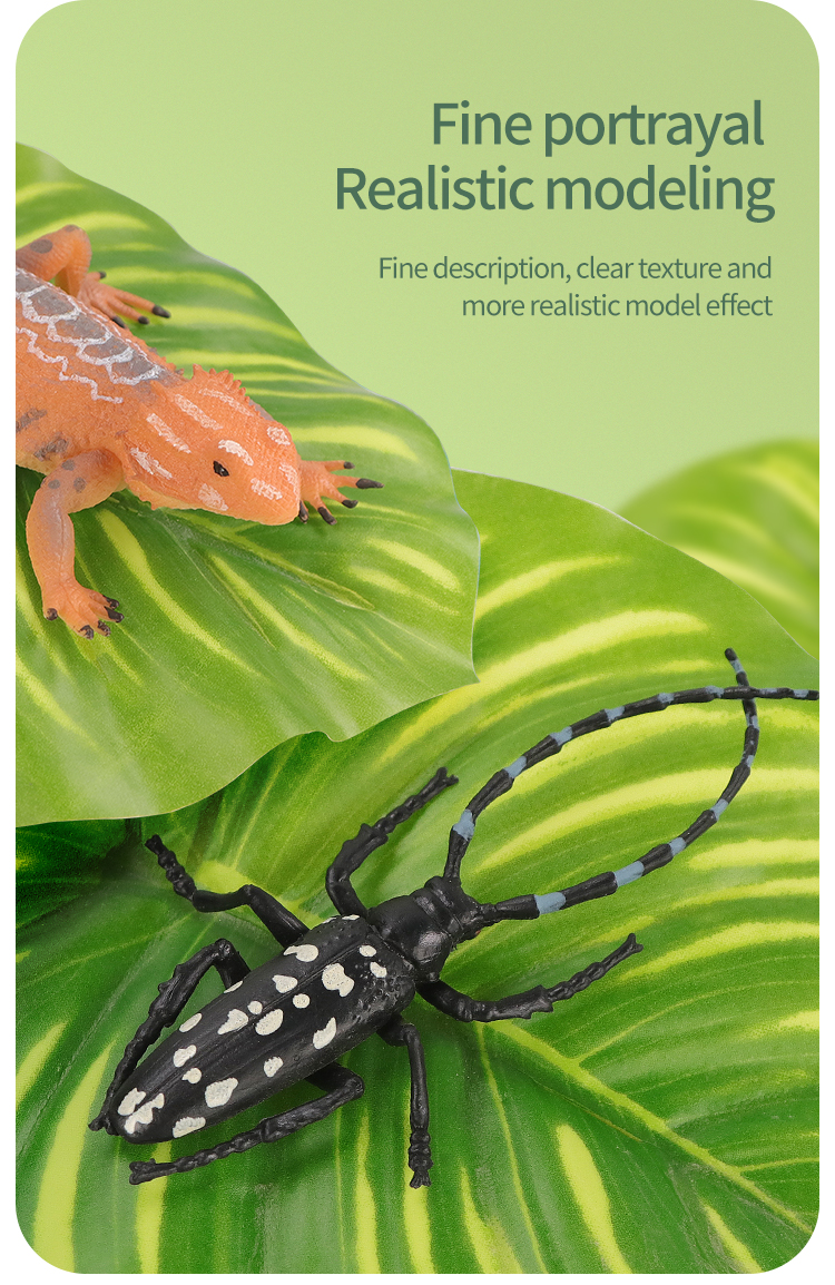 Educational Simulation Insect  - Kids Education Picture recensie en prijs