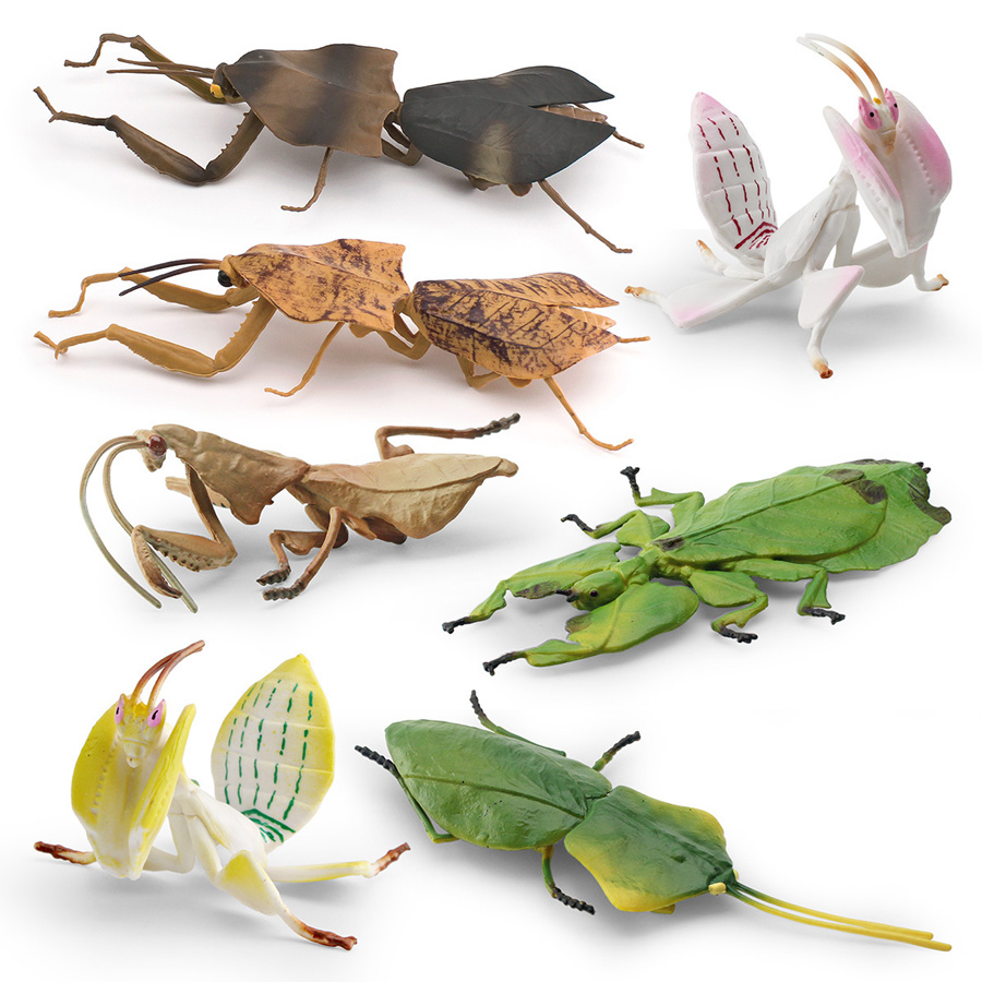 Realistic Orchid Mantis Dead L - Kids Education Picture recensie en prijs