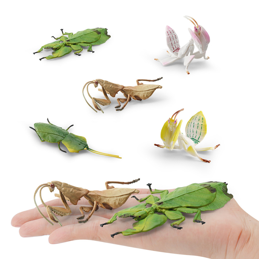 Realistic Orchid Mantis Dead L - Kids Education Picture recensie en prijs