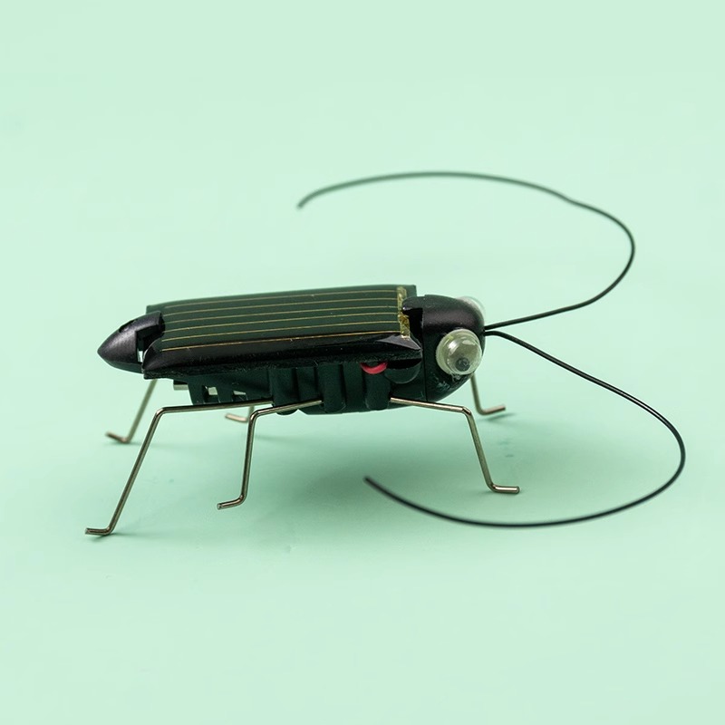 Solar Powered Locust Grasshopp - Kingdom Kids Education recensie en prijs
